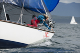 zebedee 6731y whyw14 tue 800_9131